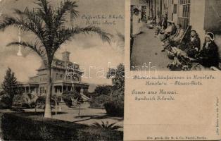 Hawaiian Islands / Sandwich Islands, public school, Flower girls (EB)
