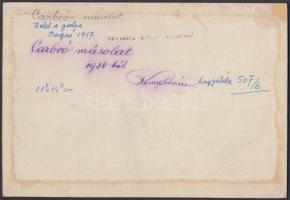 1917/1938 Kerny István (1879-1963): Delel a gulya. Vintage fotó, carbro másolat, aláírt és pecsételt...