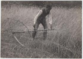 cca 1933 Kerny István (1879-1963): Aratás. Vintage fotó, hátoldalán szerzői pecséttel jelzett, 22x16cm