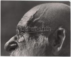 cca 1940 Reich Péter Cornel: Profil. Vintage felvétel, hátoldalán pecséttel jelzett, 17x21cm (jobb fölső sarkon kis hiány)