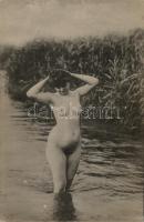 'Künstler Akt-Studie', Nude (non PC)