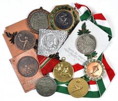 10db klf sportérem és plakett, közte: DN "Magyar Vízilabda Szövetség 1990/1991. évi országos férfi felnőtt bajnokság II. fém emlékplakett", 1958. "Balatoni Kupa I. oszt. I. díj" T:vegyes