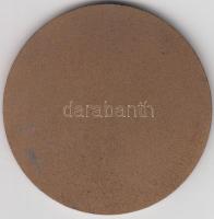 DN "Bács-Kiskun M. Tanács / Község és városejlesztésért" Br emlékérem T:2