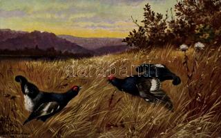 Birds, hunting s: Alfred Schönian