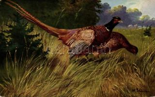 Birds, hunting s: Alfred Schönian (EK)