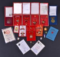 Vegyes szocialista kitüntetés, igazolvány és jelvény tétel, közte "Kiváló Dolgozó" jelvények dísztokban miniatűrrel, "Törzsgárda" jelvények igazolvánnyal, "Kiváló Társadalmi Munkáért" jelvény, zománcozott darabok is T:vegyes