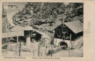 Boica, Kisbánya; mine (cut)