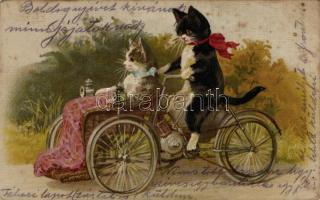 Cats, bicycle, litho (small tear)
