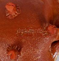 Jójárt Erzsébet (1940-): Leveles tál, festett kerámia, jelzett, hibátlan, 29×22 cm