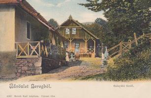 Szinyák spa (small tear)