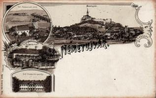Németújvár Szt. Ferencrendi zárda, Gróf Batthyány kastély, Gróf Draskovich nyaralója / nunnery, castle, villa, litho