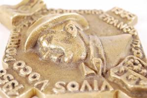 RE jelzéssel: Nagy Imre 1956-1989 emlék bronz plakett, 17×15 cm