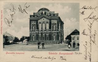 Beregszász, synagogue