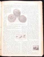 1916-1917 Erfurter Führer im Obst- und Gartenbau. Teljes évfolyam. 2 színes táblával, és számos szöv...