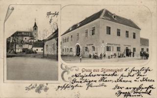 Stixneusiedl (Trautmannsdorf an der Leitha); Franz Ponschab's Hotel, floral