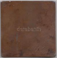 Schwartz István (1851-1924) DN. "Rondó" tánc bronz plakett (80x80mm) T:2 /
ND. Dancing Br ...