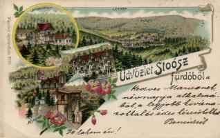 Stószfürdő, Dr. Czirfusz villa, Komporday ház / villas, floral, litho (EK)