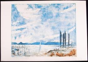 3 db rézkarc Balaton, vadgazdálkodás, Háromezerben, jelzettek (Olvashatatlan, Szellő, Varga)