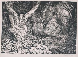 Fáy Aladár (1898-1963): Patak az erdőben. Linó, papír, jelzett, 24×35 cm