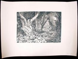 Fáy Aladár (1898-1963): Patak az erdőben. Linó, papír, jelzett, 24×35 cm