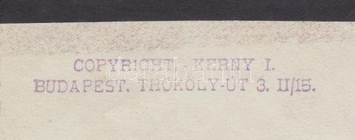 1920 Kerny István (1879-1963): Tabáni hangulat. Vintage alkotás, guminyomat, jobbra lent és hátoldal...