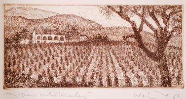 Weisz Zsuzsa (1925-): Hét darab rézkarc Magyarország borvidékei címmel: Mo. borvidékei, mind jelzett...