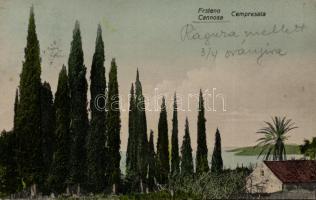 Trsteno, Cannosa, Cempresata