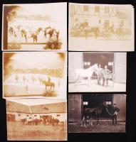 Cca 1910 6 db fénykép egy katonai lovardából, 11x16 cm