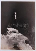 cca 1933 Kinszki Imre (1901-1945): Libasorban. Vintage alkotás, hátoldalán aláírt, szerzői pecséttel jelzett, 16x12cm