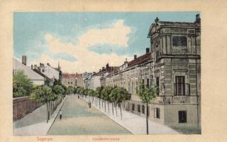 Sopron, Alsólővér utca