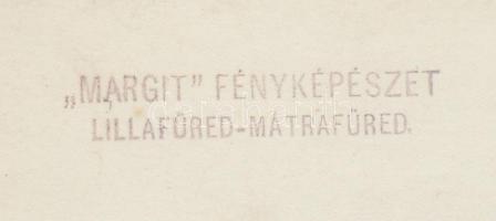 Cca 1930 A lillafüredi kastély és a vízesés. A Margit fényképészet pecsétjével ellátva, 18x13 cm