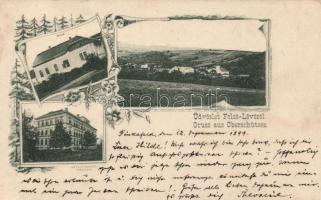 1899 Felsőlövő Nevelőintézet, villa / boarding school, floral (fa)