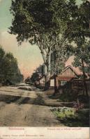 Békéscsaba paraszt ház a békési zsilipnél (EB)