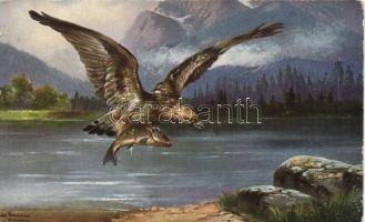 Hunting eagle, artist signed (small tear)