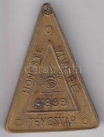 ~1910. "Honeste Vivere Temesvár 5899 / Losonczy István Páholy" Br szabadkőműves biléta T:2-