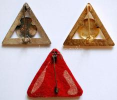 ~1960. "Magyar Természetbarát Szövetség - Túravezető" zománcozott/ezüstözött jelvények, 3d...