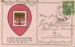 WWI, Isonzo widows, charity card