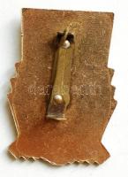 1958-59. "Budapesti Természetbarát Szövetség - Túravezetői Terepgyakorlata" festett fém je...