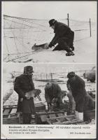 cca 1980 "Kecskemét. A 'Petőfi Vadásztársaság' élő nyulakat exportál vérfrissítés céljából Nyugat-Európába", sajtófotó, sérült, 26x18cm