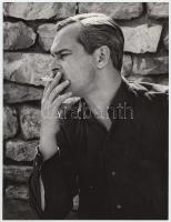 Cca 1970 Ismeretlen szerző: Latinovics Zoltán színművész profilképe. 24x18 cm