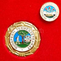 ~1960. "Budapesti Természetbarát" aranyozott kitüntető jelvény és miniatűr kitűző eredti dísztokban T:1