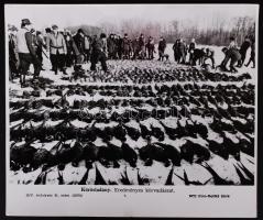 cca 1970 "Körösladány. Eredményes körvadászat", sajtófotó, 18x26cm