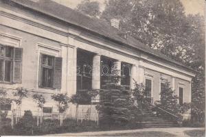 Puj, Naláczy kastély / castle (fa)