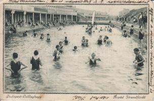 Budapest III. Csillaghegy, Árpád strandfürdő (fa)