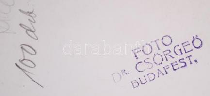 1936 Dr. Csörgeő Tibor (1869-1868): Téli tájkép. Vintage fotó. pecséttel jelezve, 14x13 cm; + Hozzáa...