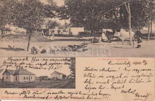 Hódmezővásárhely, népélet, Földmíves iskola, gémes kút, ökör (fa)