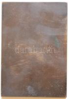 1935. "Az Angol-Magyar Bank Tisztviselőinek Sportegyesülete" Br plakett. Szign.: LUDVIG (8...