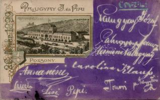 1899 Pozsony, Palugyay-kastély / castle litho (b)