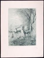 Olvashatatlan jelzéssel: Szarvasok és őzek. 2db színezett rézkarc, 33x25 cm