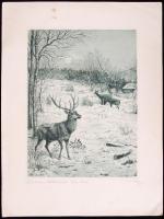 Olvashatatlan jelzéssel: Szarvasok és őzek. 2db színezett rézkarc, 33x25 cm